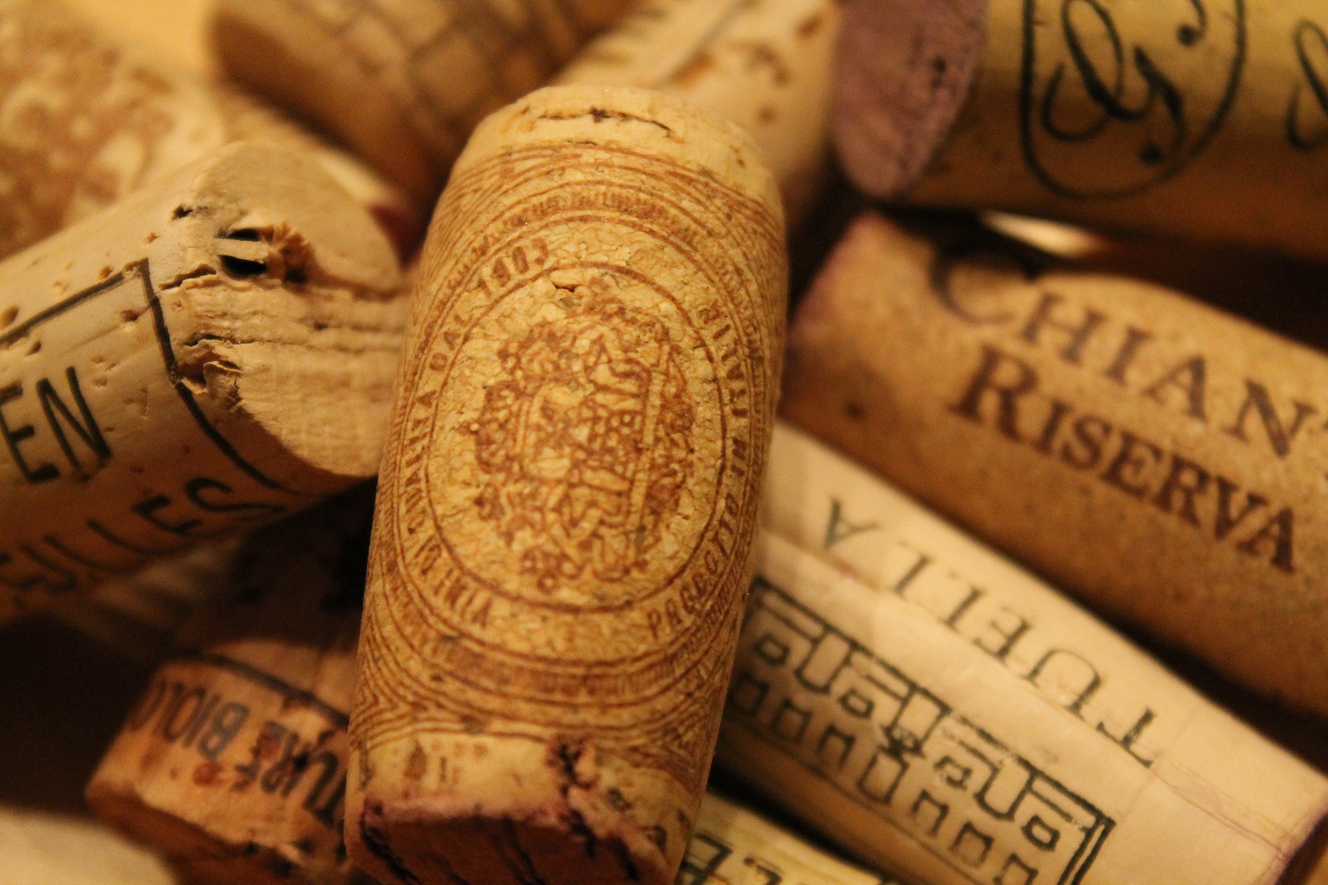 wine-647831_1920.jpg